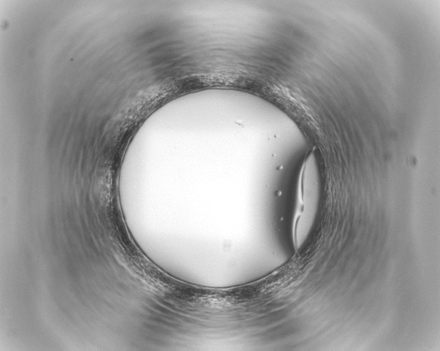 X0000088570498200706221255