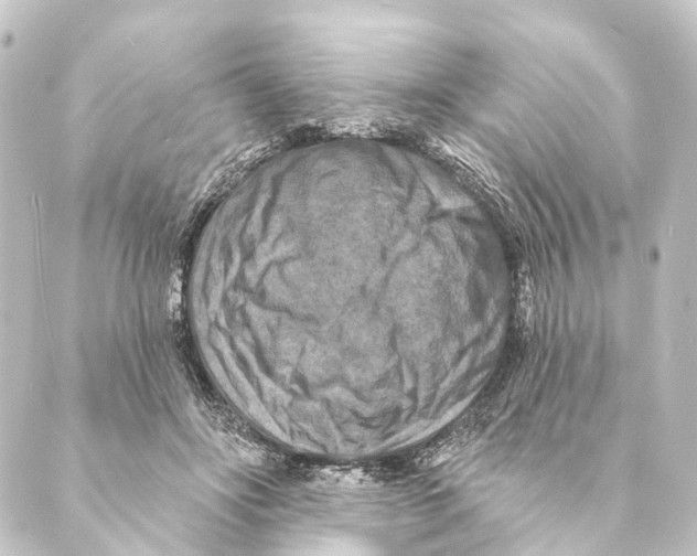 X0000088570502200706221255