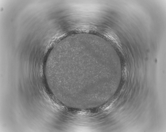 X0000088570504200706221255
