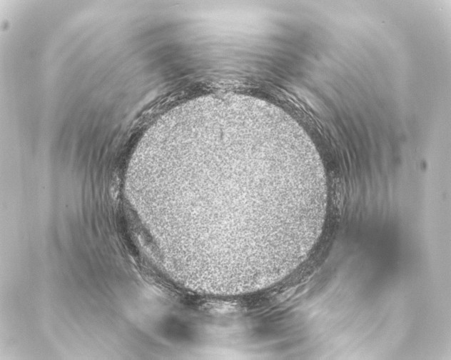 X0000088570507200706221255