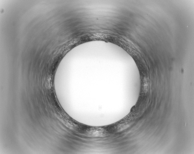 X0000088570514200706221254