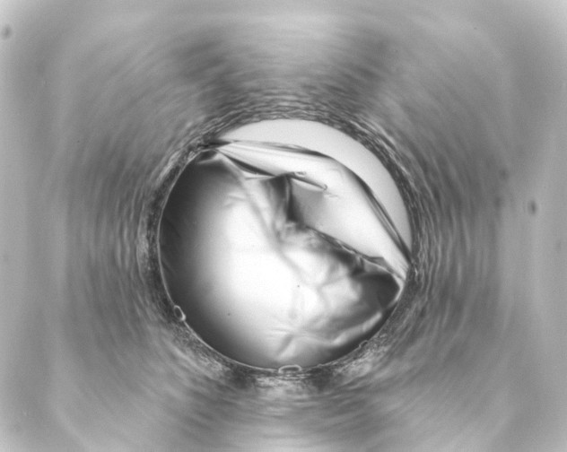 X0000088570516200706221254