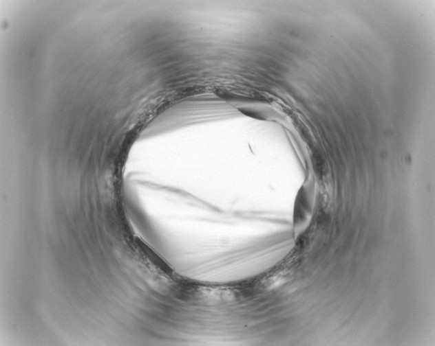 X0000088570520200706221254