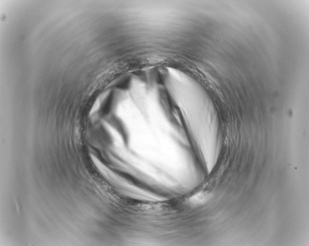 X0000088570524200706221254