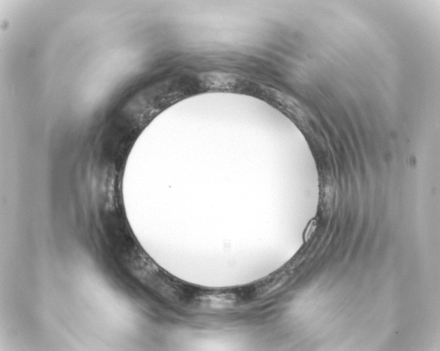 X0000088570525200706221254