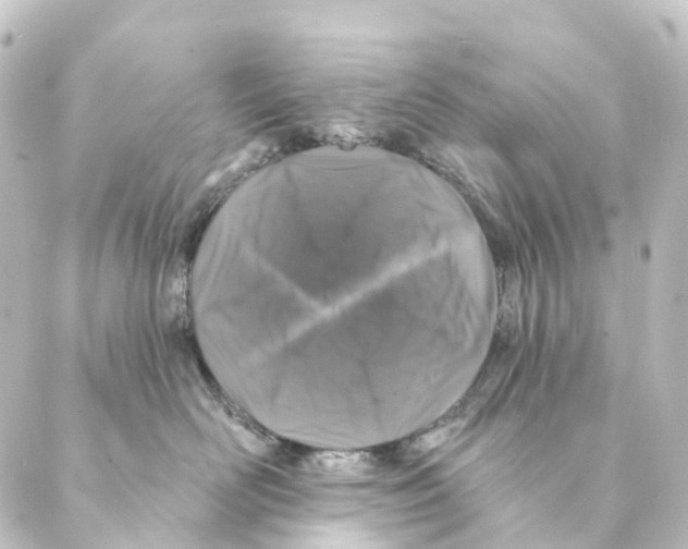 X0000088570526200706221254