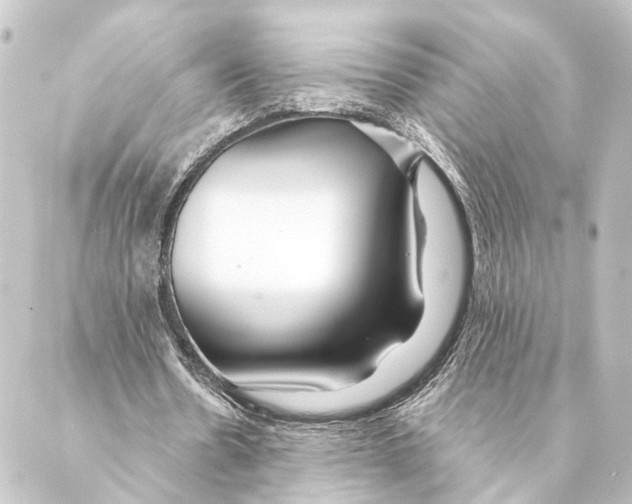 X0000088570530200706221253