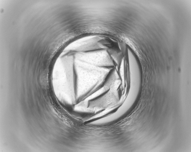 X0000088570531200706221254