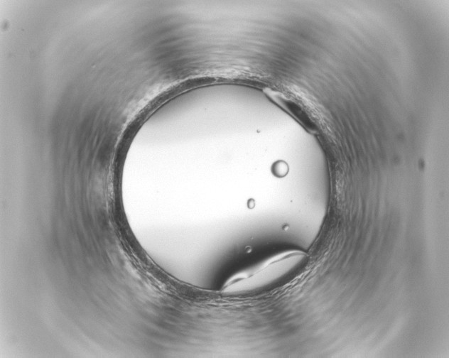 X0000088570532200706221254