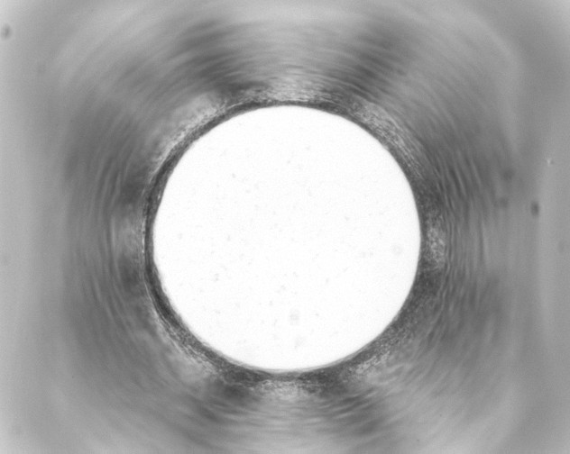 X0000088570534200706221254