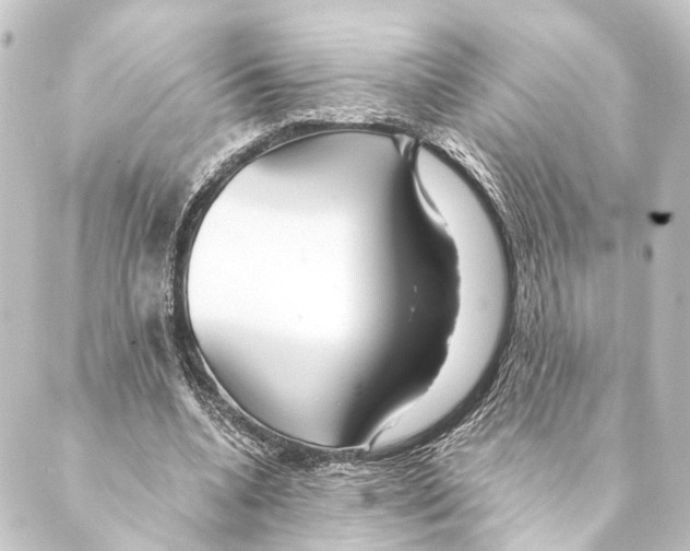 X0000088570536200706221254