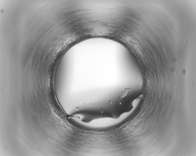 X0000088570539200706221254