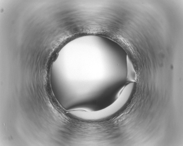 X0000088570540200706221254
