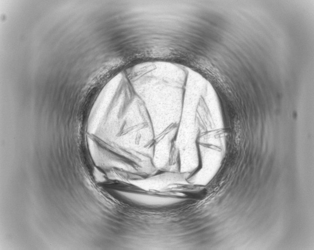 X0000088570542200706221254