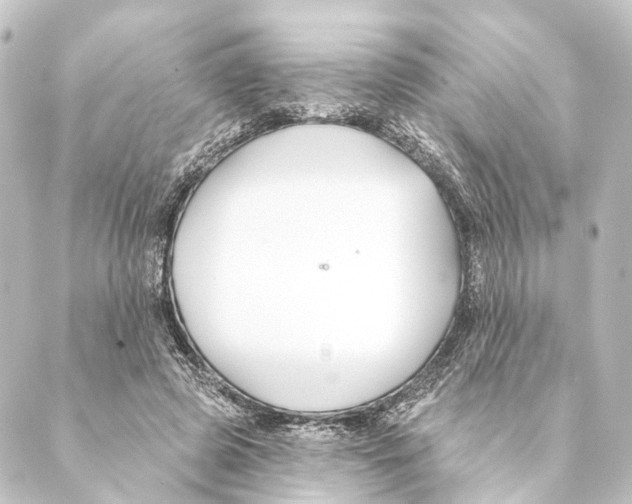 X0000088570545200706221254
