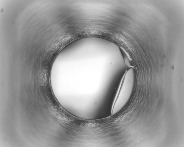 X0000088570546200706221254