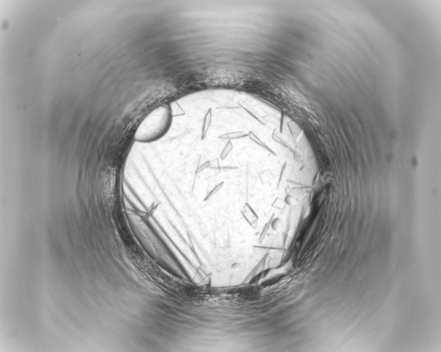 X0000088570550200706221254
