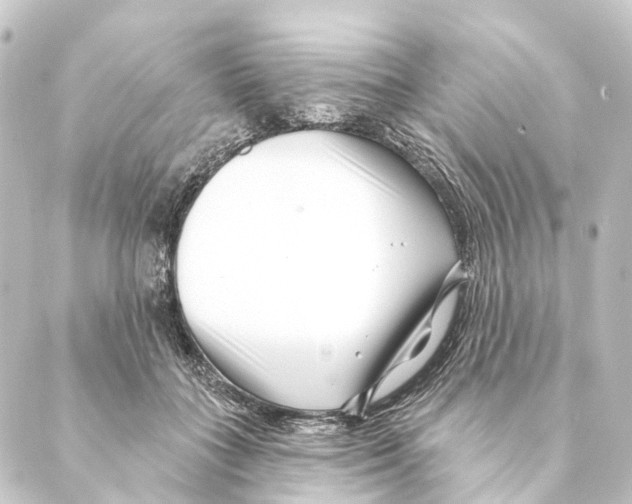 X0000088570555200706221254