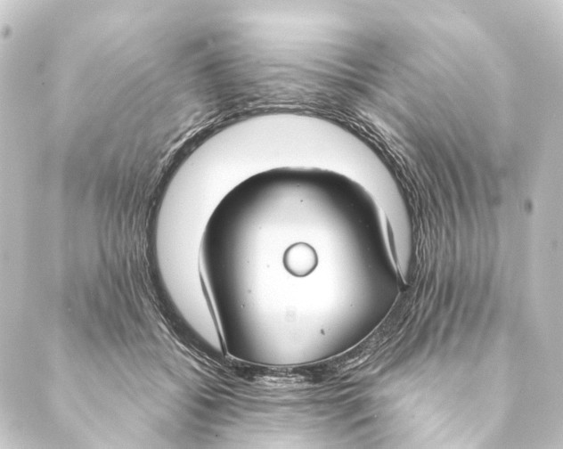 X0000088570556200706221254