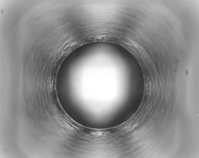 X0000088570558200706221254