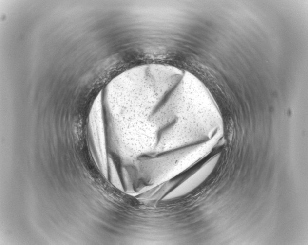 X0000088570559200706221254