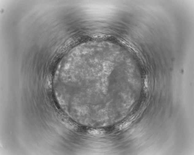 X0000088570561200706221254