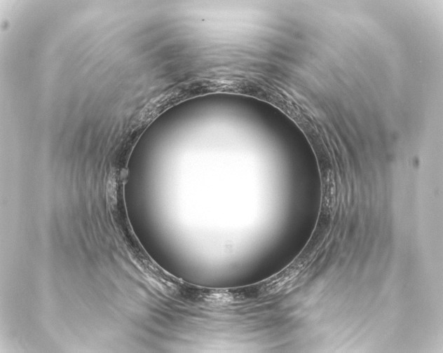 X0000088570562200706221254