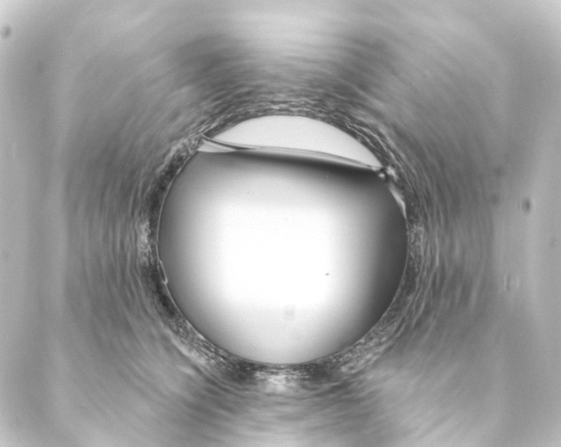 X0000088570564200706221254