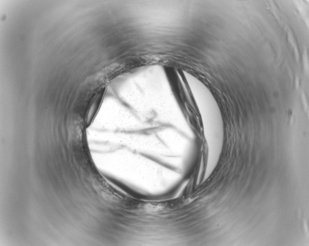 X0000088570570200706221254