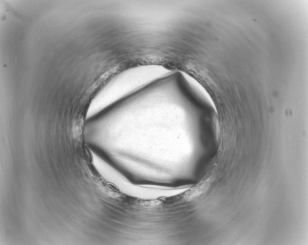 X0000088570576200706221254