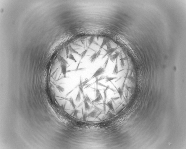 X0000088570586200706221253