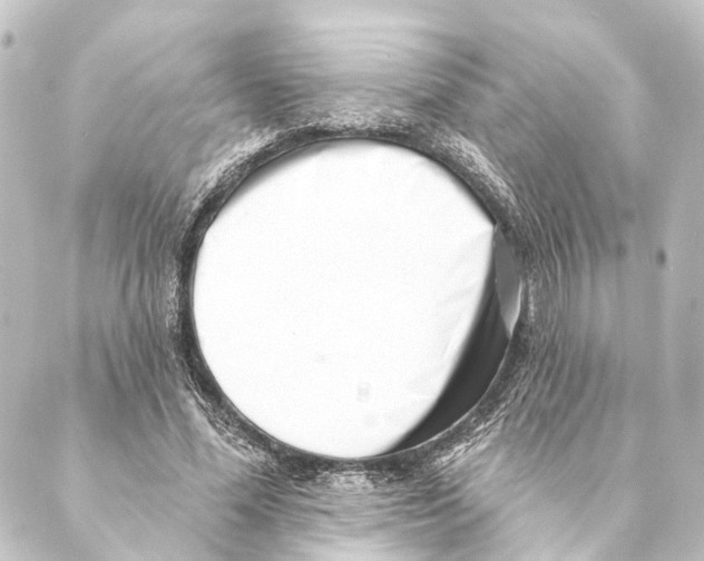 X0000088570588200706221253