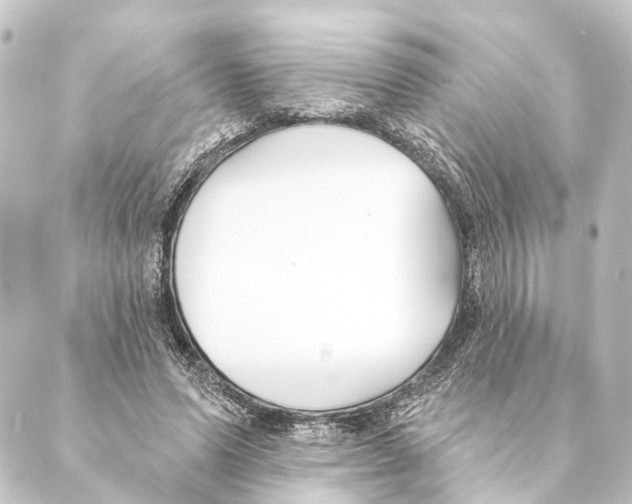 X0000088570591200706221253