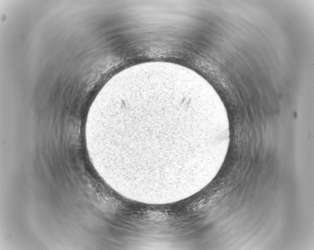 X0000088570592200706221253