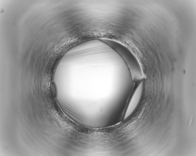 X0000088570593200706221253