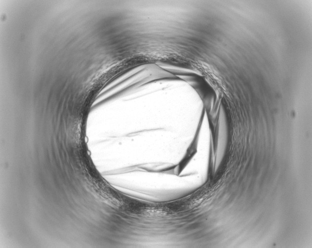 X0000088570596200706221253