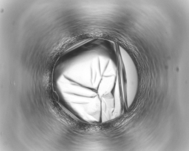 X0000088570600200706221253