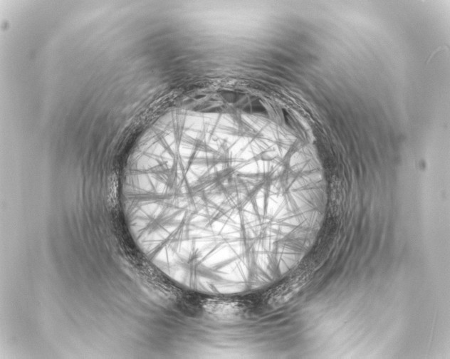 X0000088570602200706221253