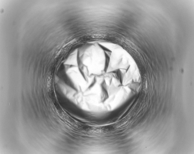 X0000088570604200706221253