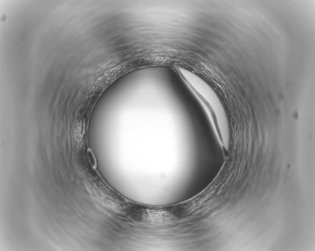 X0000088570605200706221253