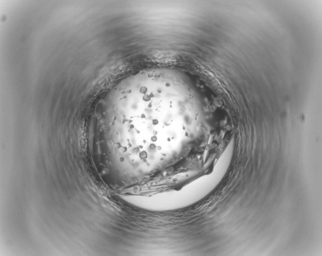 X0000088570609200706221253