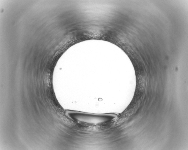 X0000088570612200706221253