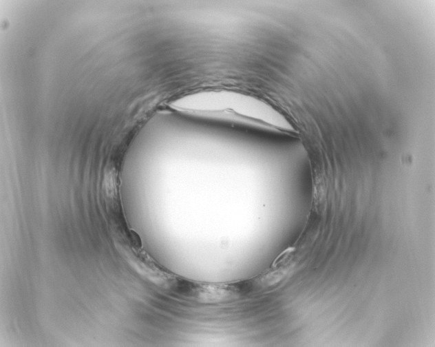 X0000088570623200706221253