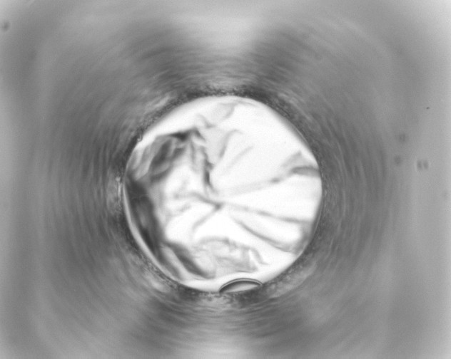 X0000088570624200706221253