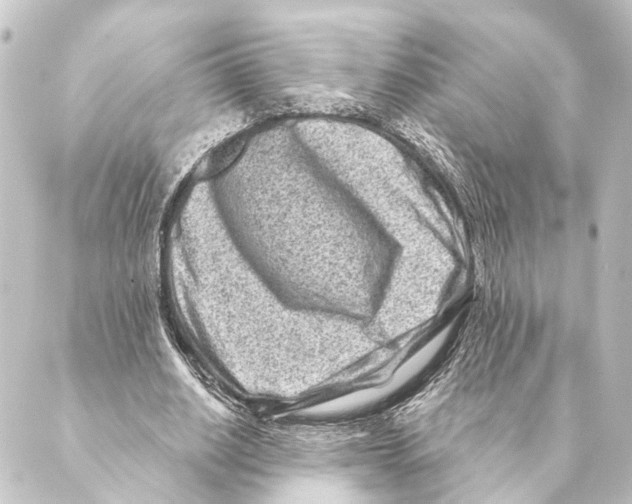 X0000088570630200706221252
