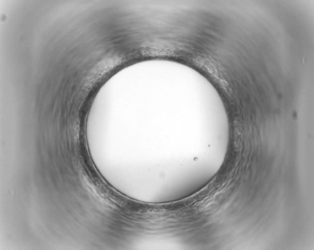 X0000088570631200706221252