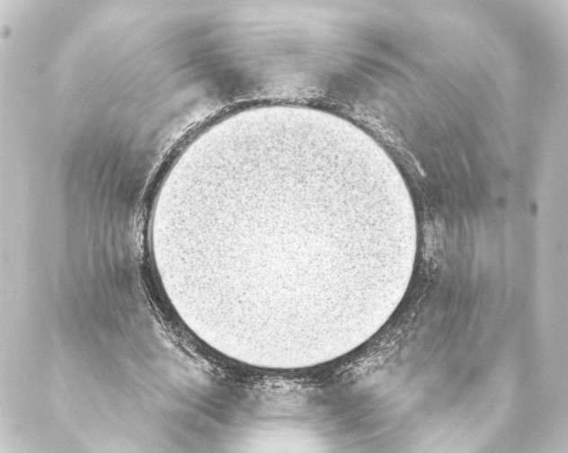 X0000088570632200706221252