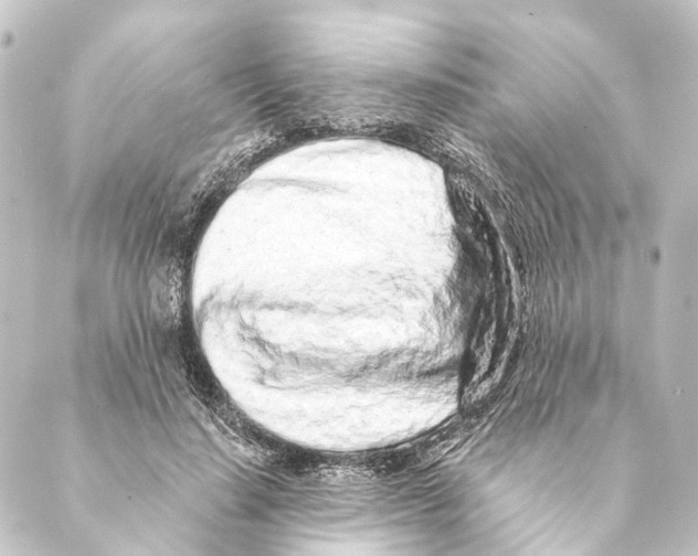 X0000088570644200706221252
