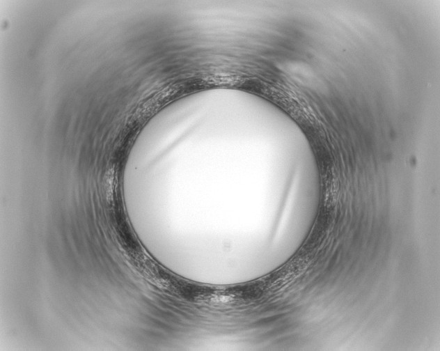 X0000088570647200706221252
