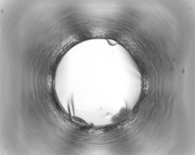 X0000088570648200706221252